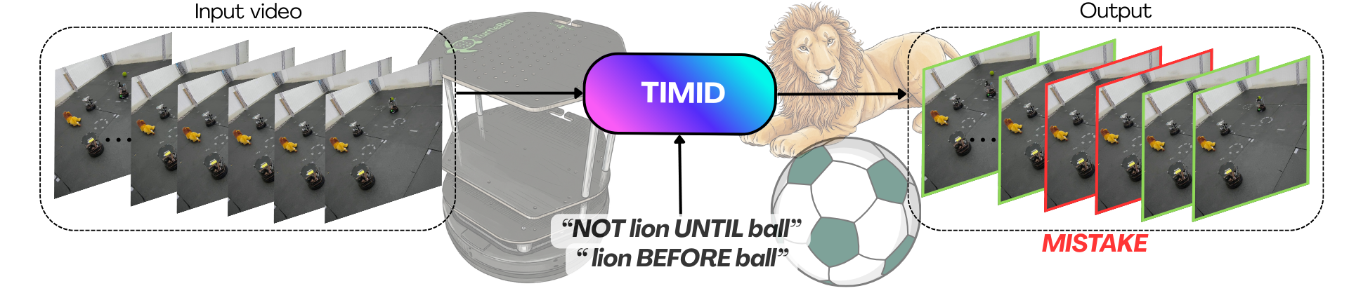 TIMID Teaser
